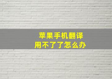 苹果手机翻译用不了了怎么办