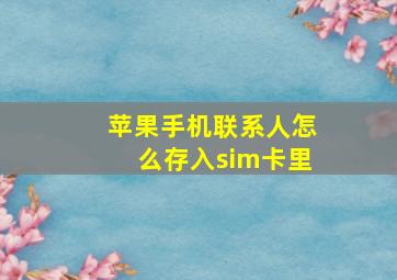 苹果手机联系人怎么存入sim卡里