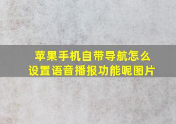 苹果手机自带导航怎么设置语音播报功能呢图片