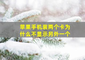 苹果手机装两个卡为什么不显示另外一个