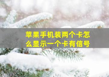 苹果手机装两个卡怎么显示一个卡有信号