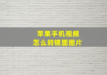 苹果手机视频怎么转镜面图片