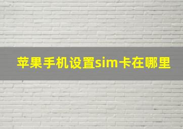 苹果手机设置sim卡在哪里