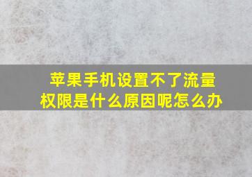 苹果手机设置不了流量权限是什么原因呢怎么办