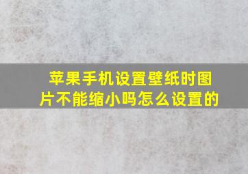 苹果手机设置壁纸时图片不能缩小吗怎么设置的