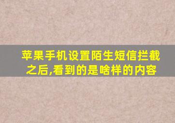 苹果手机设置陌生短信拦截之后,看到的是啥样的内容