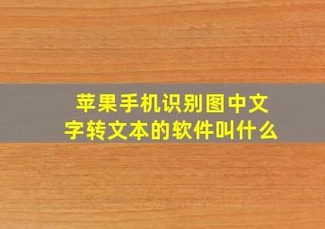 苹果手机识别图中文字转文本的软件叫什么