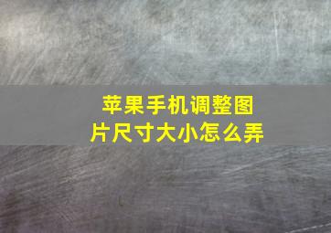 苹果手机调整图片尺寸大小怎么弄