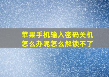 苹果手机输入密码关机怎么办呢怎么解锁不了