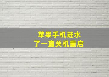 苹果手机进水了一直关机重启