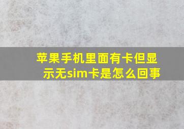 苹果手机里面有卡但显示无sim卡是怎么回事