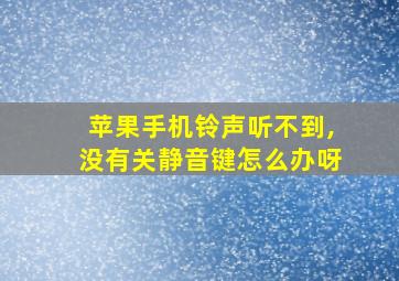 苹果手机铃声听不到,没有关静音键怎么办呀