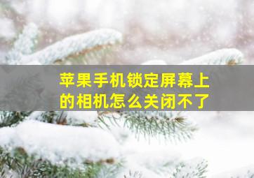 苹果手机锁定屏幕上的相机怎么关闭不了