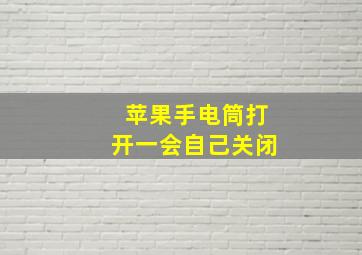 苹果手电筒打开一会自己关闭