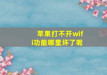 苹果打不开wifi功能哪里坏了呢