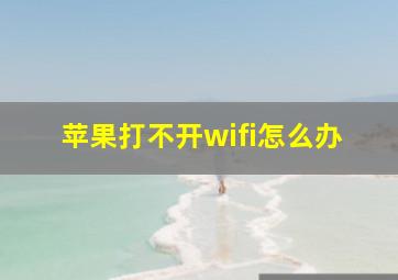 苹果打不开wifi怎么办