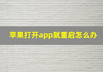 苹果打开app就重启怎么办