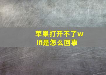 苹果打开不了wifi是怎么回事