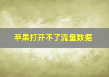 苹果打开不了流量数据