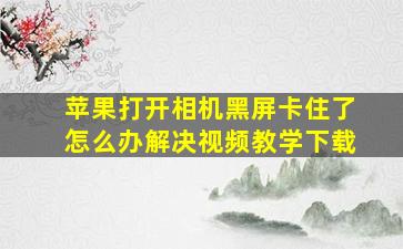 苹果打开相机黑屏卡住了怎么办解决视频教学下载