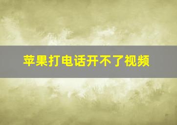 苹果打电话开不了视频