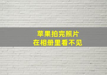 苹果拍完照片在相册里看不见