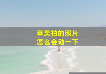 苹果拍的照片怎么会动一下