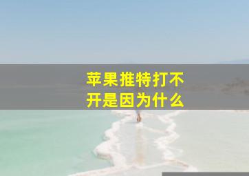 苹果推特打不开是因为什么