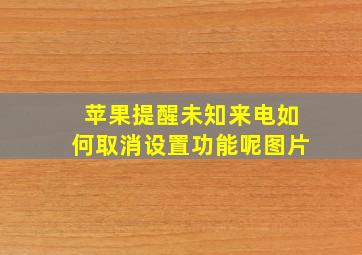 苹果提醒未知来电如何取消设置功能呢图片