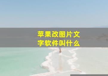 苹果改图片文字软件叫什么