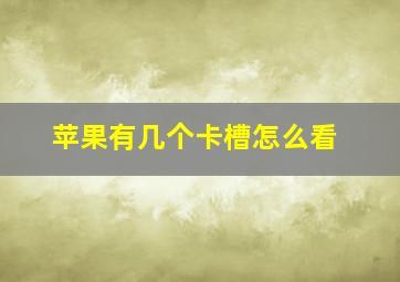 苹果有几个卡槽怎么看