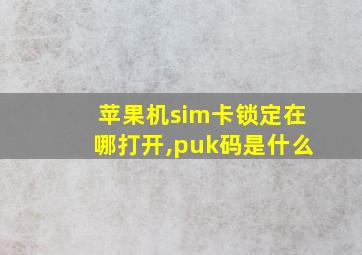 苹果机sim卡锁定在哪打开,puk码是什么