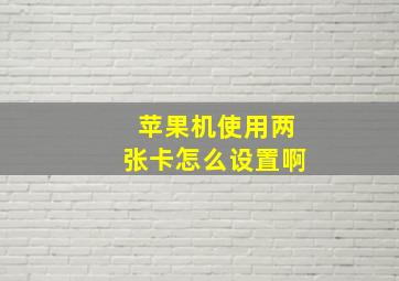 苹果机使用两张卡怎么设置啊