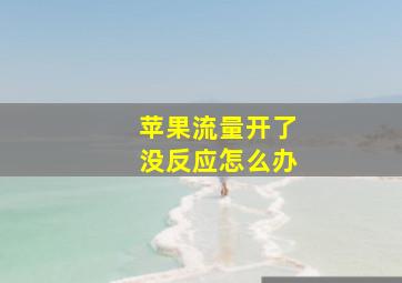 苹果流量开了没反应怎么办