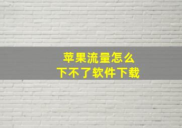 苹果流量怎么下不了软件下载