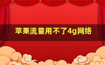 苹果流量用不了4g网络