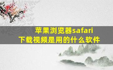 苹果浏览器safari下载视频是用的什么软件