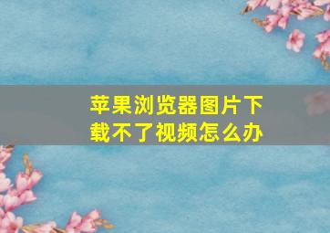 苹果浏览器图片下载不了视频怎么办