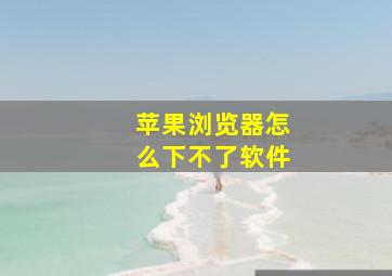 苹果浏览器怎么下不了软件