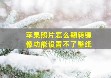 苹果照片怎么翻转镜像功能设置不了壁纸