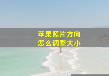 苹果照片方向怎么调整大小