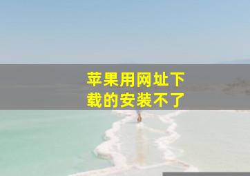 苹果用网址下载的安装不了