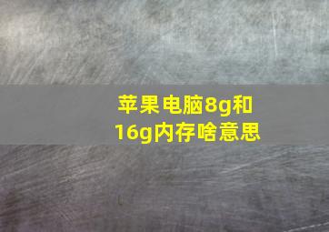 苹果电脑8g和16g内存啥意思