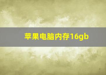 苹果电脑内存16gb