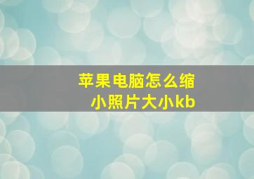 苹果电脑怎么缩小照片大小kb