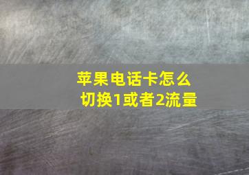 苹果电话卡怎么切换1或者2流量