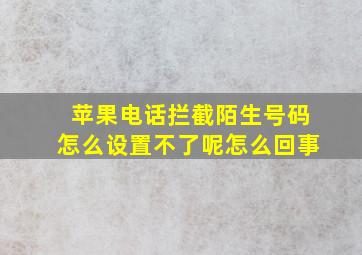 苹果电话拦截陌生号码怎么设置不了呢怎么回事