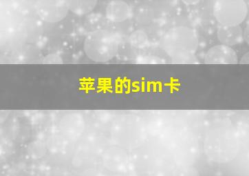 苹果的sim卡