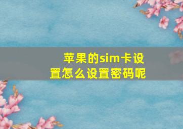 苹果的sim卡设置怎么设置密码呢