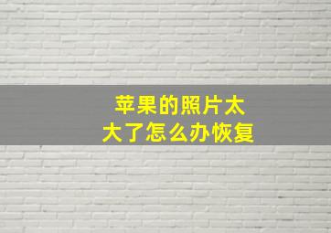 苹果的照片太大了怎么办恢复